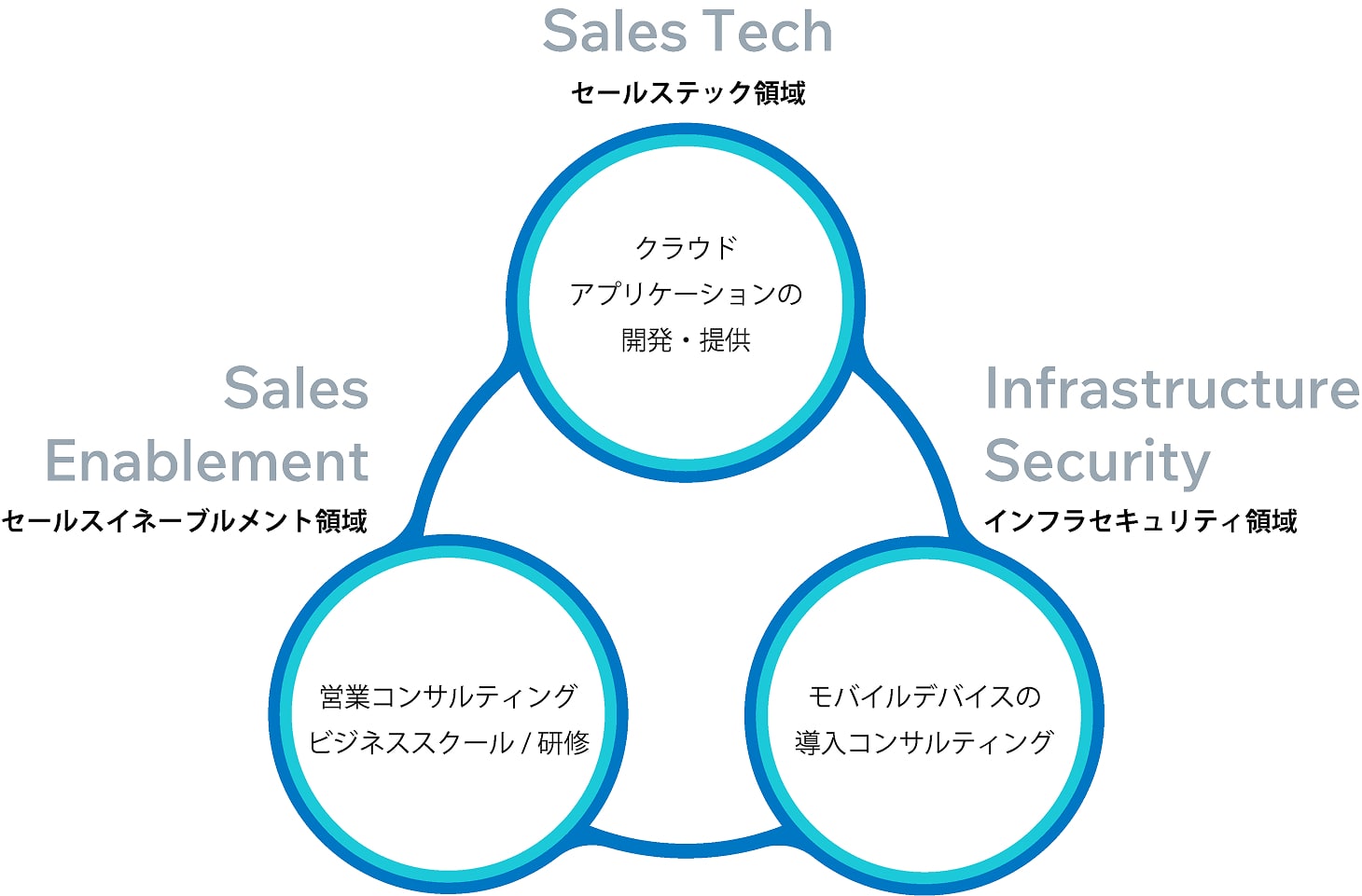 ソフトブレーンの事業グラフ