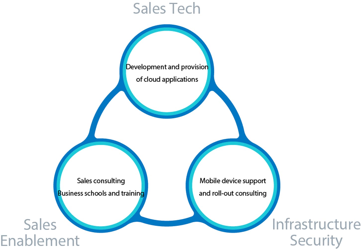 SOFTBRAIN’s business